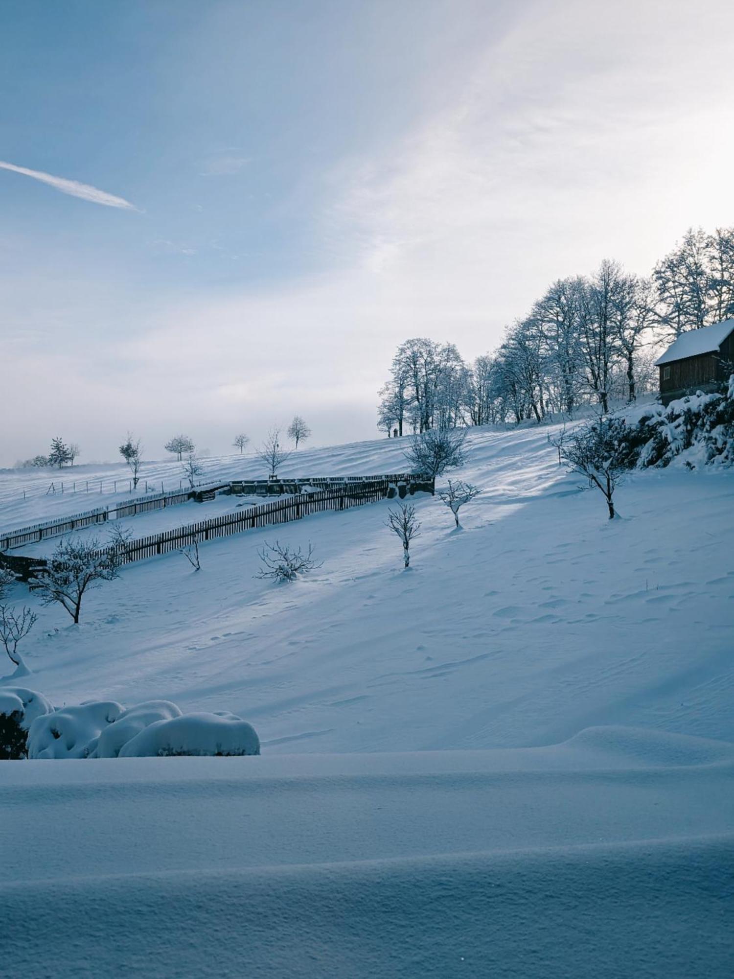 Landhaus Seiffen Villa Eksteriør bilde